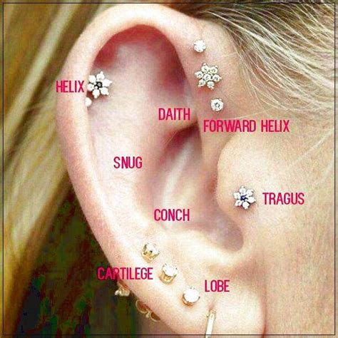 Places to get piercings near me. Top 10 Best ear piercing Near Wilmington, North Carolina. 1. Studio Seven Piercing. “Bobby was very gentle and comforting and gave me great advice to calm the piercing down and was...” more. 2. Jade Monkey Studios. “care and made sure I was satisfied with the symmetry (standard ear piercings) before I left.” more. 3. Studio Seven. 