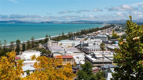 Places to go in napier