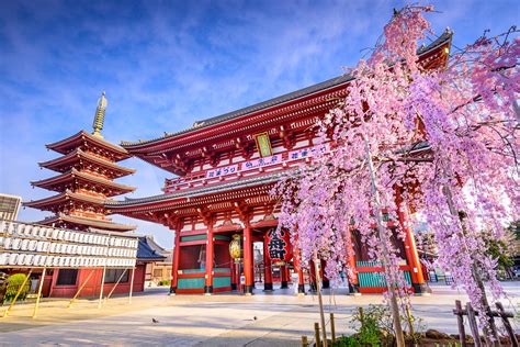 Places to stay in tokyo japan. 1.Tokyo, 2.Hakone, 3.Matsumoto, 4.Hakuba (Japanese Alps), 5.Shirakawa, 6.Takayama, 7.Osaka, 8.Kyoto. This is the perfect itinerary if you have 2-4 weeks in Japan to explore. Start off the adventure in Tokyo. I recommend staying here for 5 days at a minimum. 