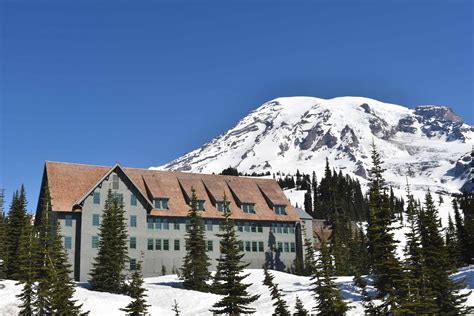 Places to stay near mt rainier. Paradise Inn at Mount Rainier. 1,049 reviews. NEW AI Review Summary. #1 of 1 inn in Paradise. 52807 Paradise Road E., Paradise, Mount Rainier National Park, WA 98368. Write a review. 