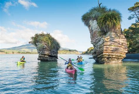 Places to visit in waikato