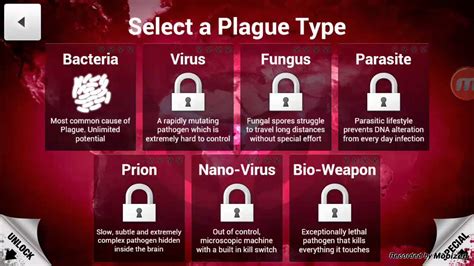 veodersti.rgarabwor.edu.pl. 