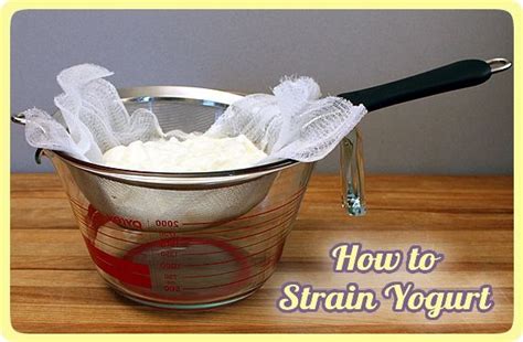 Plain and Strained Yogurt (Sweet/ Greek) using Count 5 Rule - YouTube