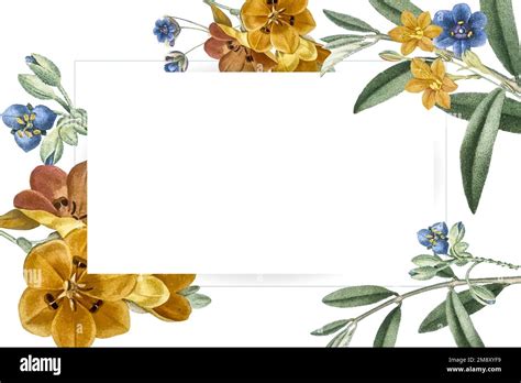 Plain rectangle Stock Vector Images Alamy