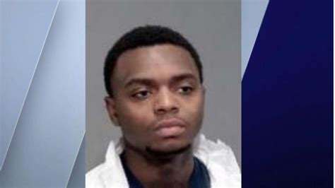 Plainfield man, 21, charged with murder in killing of his mother, Joliet Police Dept. announces