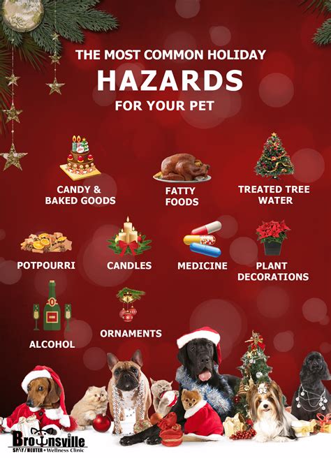 Plan to keep your pets safe this holiday season