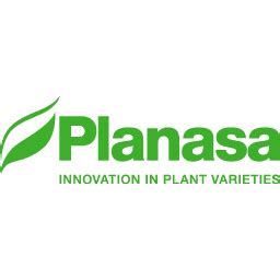 Planasa, LLC Company Profile Anderson, CA - Dun & Bradstreet