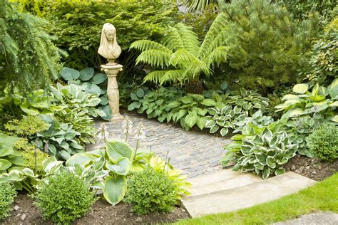 Planned shade garden. Flower varieties are long blooming, with care taken to ensure a mix of blooms from spring to fall. This design includes a mix of shrub textures that provide ... 
