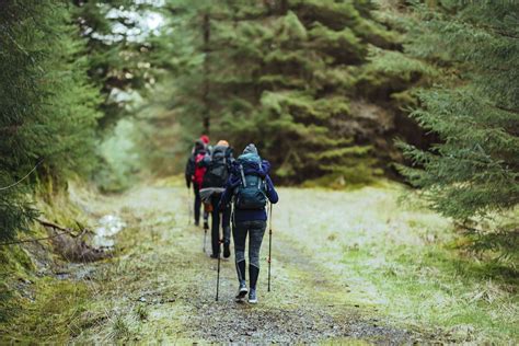 Planning a hiking trip. Here is everything you need to plan a hiking trip – from choosing where to hike, what to wear on a hike, how to stay safe on a hike, and more. Pin Me for Later! If … 