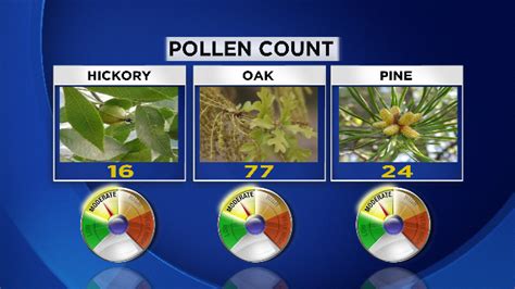 Plano pollen count. Pollen.com will send your first allergy report when pollen conditions reach moderate levels (above 4.0), which is the point where most people experience symptoms. Allergy reports help you plan for the day ahead and treat your symptoms before they occur, giving you a happier, healthier tomorrow. 