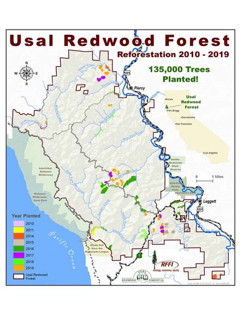 Plant A Redwood Redwood Forest Foundation Inc - RFFI