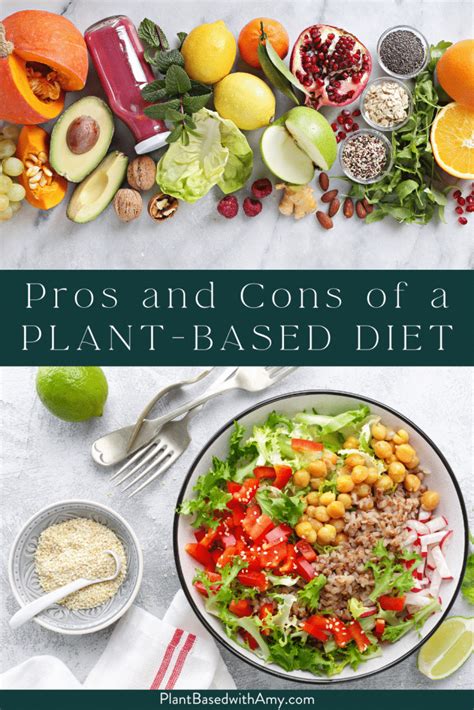 Plant Based Diet Pros Cons and What You Can Eat