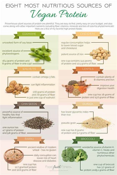 Plant Based Proteins and How to Eat Them