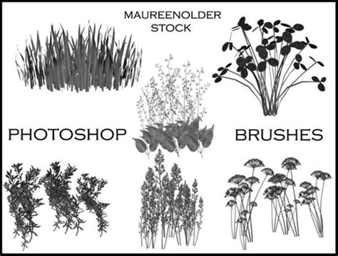 Plant Brushes - 7+ ABR Format Download