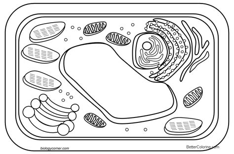 Coloring Pages 1st Grade