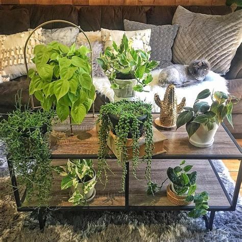 Plant Coffee Table - Etsy