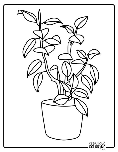 Plant Coloring Ce