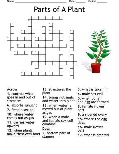 Plant Crossword