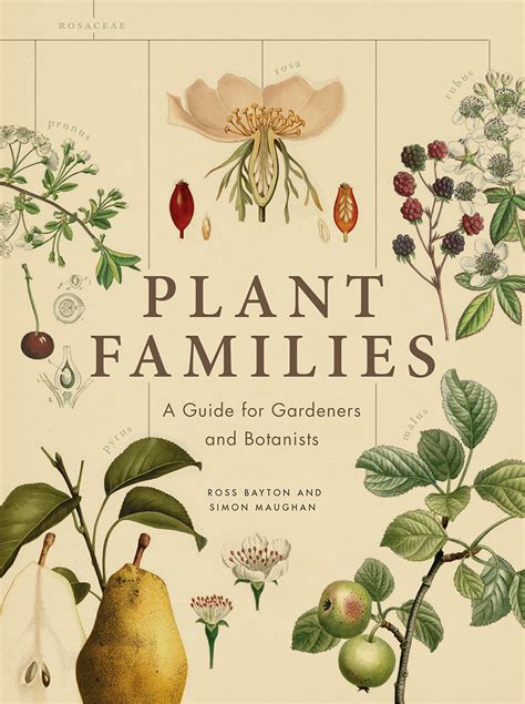 Plant Families A Guide for Gardeners and Botanists