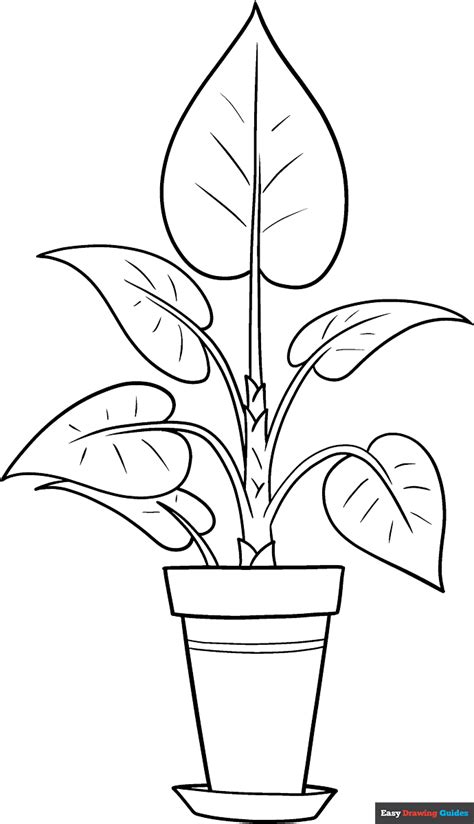 Plant For Coloring