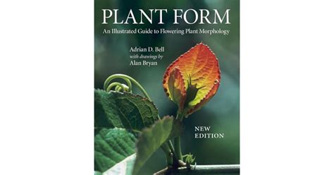 Plant Form an Illustrated Guide 2004