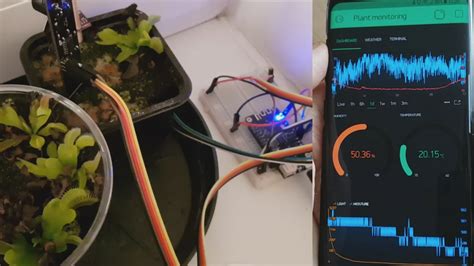 Plant Monitoring System With ESP32, Lolin32 Lite, and Blynk