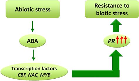 Plant Responses to Simultaneous Biotic and Abiotic Stress ...