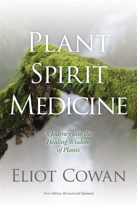 Plant Spirit Medicine Blue Deer Center