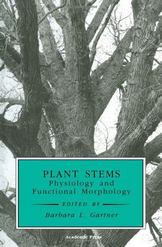 Plant Stems Physiology and Functional Morphology