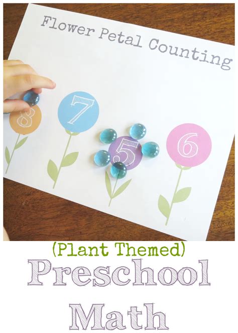 Plant Theme: Preschool Math Flower Petal …