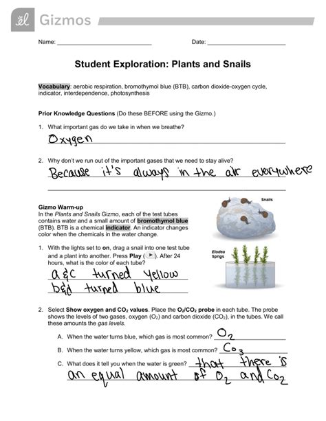 Plant and snail gizmo answers. Student Exploration- Plants and Snails (ANSWER KEY).docx. Denver Senior High School. HIST 1111. notes. FlorvinceJosephPlants and Snails.docx. Solutions Available. Plantation High School. ... _____ _____ Gizmo Warm-up In the Plants and Snails Gizmo™, each of the test tubes contains water and a small amount of bromthymol blue (BTB ... 