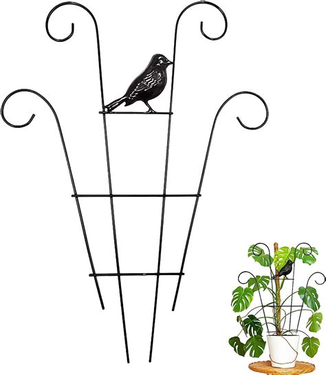 Plant climbing frame for pots.  Find options for small potted plants and large garde...