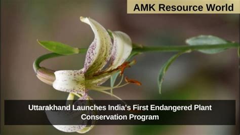 Plant conservation program.  Thanks.  The largest collection of interior design...