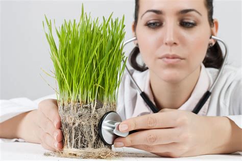 Plant doctor. Most Plant Doctor followers and Australian Lawn and Garden Fanatics can relate to this feeling, but for anyone with a thumb a few shades from green might not. Here’s a few tips and tricks so you can revel in the great satisfaction known as lawn and garden pride - because sunshine and water will only get you part of the way! ... 