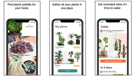 Plant health apps. There are thousands of plant species known to science, which means it’s nearly impossible to memorize all of them. Luckily, there are several mobile apps that can help you identify... 