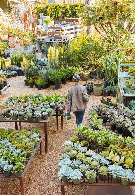 Plant nursery los angeles. Voted Best Nursery in Los Angeles 2023. Southern California's destination for premium faux + live plants, containers, pottery, vintage finds + unique home decor. 