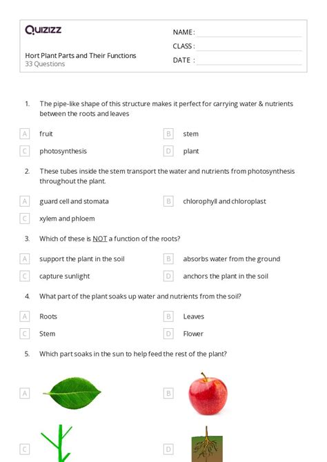 Plant part quiz. .  ...