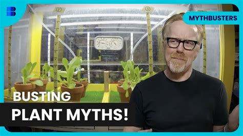 Plant polygraph mythbusters