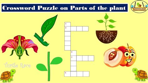 Plant problem Crossword Clue Answers