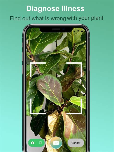 Plant Scanner is an application that allows you to identify plants simply by photographing them with your smartphone. Very useful when you don't have a botanist on hand! Plant Scanner allows you to identify and better understand all kinds of plants living in nature: flowering plants, trees, grasses, conifers, ferns, vines, wild salads, cacti ....