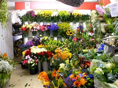 Plant shop near me. Things To Know About Plant shop near me. 