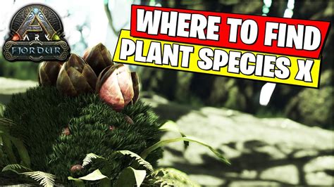 Wild Plant Species X GPS & Map - 69.3 - 63.4. There is another Wild Plant Species X at 69.3 - 63.4. Plant Species X is a rare find on the Ark. In the wild it is a simple, odd looking plant. Grown in a crop plot it becomes weaponized and is a low maintenace, highly effective defense mechanism.. 