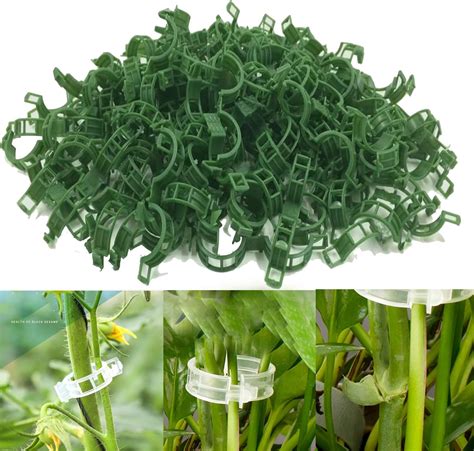 Plant support clips amazon.  These clips help to keep your plants upright, ensur...