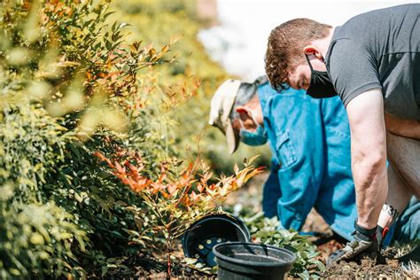 Plant the Campus Red set for April 20 - apsu.edu