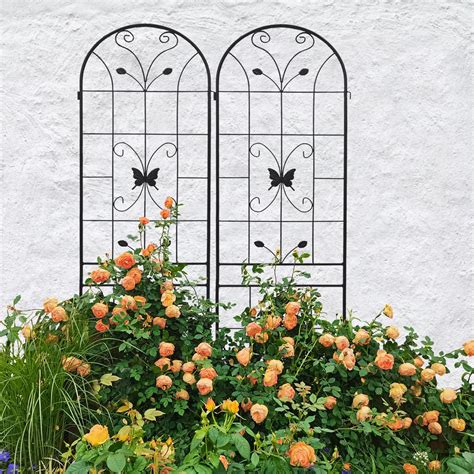 Plant trellis for climbing plants.  Steel wire with rustproof powder coating for lo...