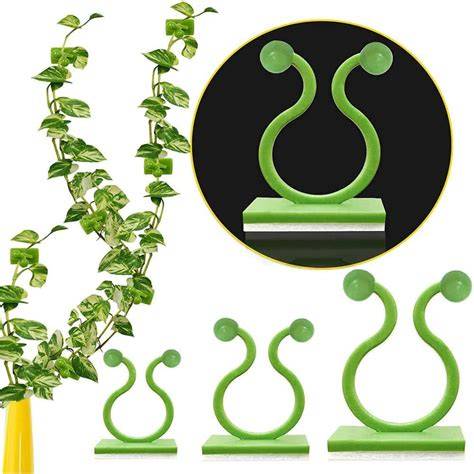 Plant wall clips home depot. .  ...
