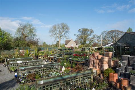 Plant world. Sammy's Plant World, West Monroe, Louisiana. 9,090 likes · 18 talking about this. Sammy's Plant World is a nursery in West Monroe Louisiana. We have a wide variety of trees, shrubs, bedding plants,... 