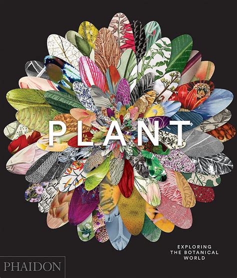 Download Plant Exploring The Botanical World By Phaidon