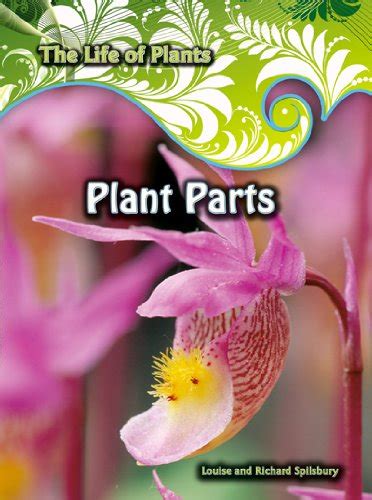 Read Plant Parts Life Of Plants By Louise Spilsbury