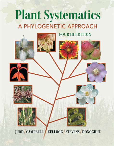 Download Plant Systematics A Phylogenetic Approach By Walter S Judd